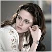 Twilight - Biss zum Morgengrauen : photo Catherine Hardwicke, Kristen Stewart, Stephenie Meyer