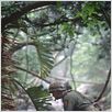 Tunnel Rats : photo