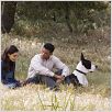 Sieben Leben : photo Gabriele Muccino, Rosario Dawson, Will Smith