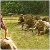 Ong Bak 2 : photo Tony Jaa