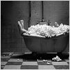 Mary & Max - oder Schrumpfen Schafe wenn es regnet? : photo Adam Elliot