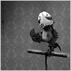 Mary & Max - oder Schrumpfen Schafe wenn es regnet? : photo Adam Elliot