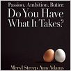 Julie & Julia : poster Amy Adams, Meryl Streep, Nora Ephron