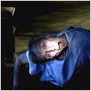 The Unborn : photo David S. Goyer, Michael Sassone