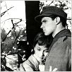 Zeit zu lieben und Zeit zu sterben : photo Douglas Sirk, John Gavin, Liselotte Pulver