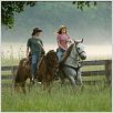 Hannah Montana - Der Film : photo Lucas Till, Miley Cyrus, Peter Chelsom
