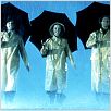 Singin´ In The Rain : photo Gene Kelly, Stanley Donen