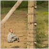 Der Junge im gestreiften Pyjama : photo