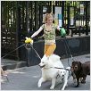 Whatever works - Liebe sich wer kann : photo Evan Rachel Wood, Woody Allen