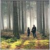 Hinter Kaifeck : photo