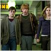 Harry Potter und die Heiligtümer des Todes - Teil 1 : photo Daniel Radcliffe, David Yates, Emma Watson, Rupert Grint