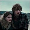 Harry Potter und die Heiligtümer des Todes - Teil 1 : photo David Yates, Emma Watson, Rupert Grint