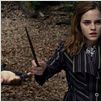 Harry Potter und die Heiligtümer des Todes - Teil 1 : photo David Yates, Emma Watson