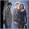 Harry Potter und die Heiligtümer des Todes - Teil 1 : photo Daniel Radcliffe, David Yates, Emma Watson, Rupert Grint