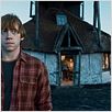 Harry Potter und die Heiligtümer des Todes - Teil 1 : photo David Yates, Rupert Grint