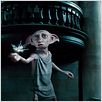 Harry Potter und die Heiligtümer des Todes - Teil 1 : photo David Yates