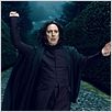 Harry Potter und die Heiligtümer des Todes - Teil 1 : photo Alan Rickman, David Yates