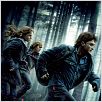 Harry Potter und die Heiligtümer des Todes - Teil 1 : poster David Yates
