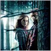 Harry Potter und die Heiligtümer des Todes - Teil 1 : poster David Yates