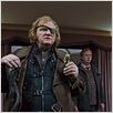 Harry Potter und die Heiligtümer des Todes - Teil 1 : photo Brendan Gleeson, David Yates