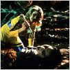 Buffy, der Vampirkiller : photo