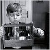 Das weiße Band : photo Michael Haneke