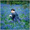 Bright Star - Die erste Liebe strahlt am hellsten : photo Abbie Cornish, Jane Campion
