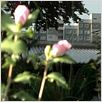 Wasser und Seife : photo