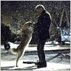 Hachiko - Eine wunderbare Freundschaft : photo Lasse Hallström