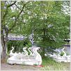 Achterbahn : photo