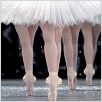 La Danse - Das Ballett der Pariser Oper : photo Frederick Wiseman