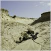 Dinosaurier Live 3D - Fossilien zum Leben erweckt : photo