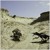 Dinosaurier Live 3D - Fossilien zum Leben erweckt : photo