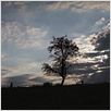 Mitte Ende August : photo