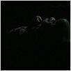 The Disappeared - Das Böse ist unter uns : photo