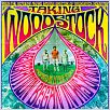 Taking Woodstock : poster