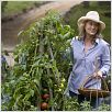 Wenn Liebe so einfach wäre : photo Meryl Streep, Nancy Meyers