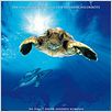 Tortuga - Die unglaubliche Reise der Meeresschildkröte : poster