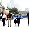 Takers : photo Chris Brown, Hayden Christensen, Idris Elba, John Luessenhop, Michael Ealy