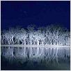 Lake Mungo : photo Joel Anderson (II)