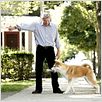 Hachiko - Eine wunderbare Freundschaft : photo Lasse Hallström, Richard Gere