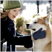 Hachiko - Eine wunderbare Freundschaft : photo Lasse Hallström