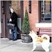 Hachiko - Eine wunderbare Freundschaft : photo Lasse Hallström