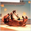 Toy Story 2 : photo Ash Brannon, John Lasseter, Lee Unkrich