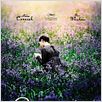 Bright Star - Die erste Liebe strahlt am hellsten : poster