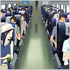 Summer Wars : photo Mamoru Hosoda