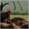 Die wilde Farm : photo Dominique Garing, Frédéric Goupil