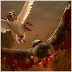Die Legende der Wächter : photo Zack Snyder