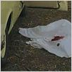 Der Zodiac-Killer : photo