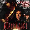 Blackwoods : poster
